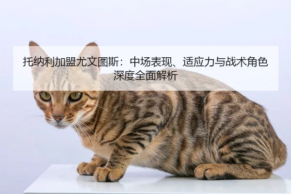 tuo-na-li-jia-meng-you-wen-tu-si-zhong-chang-biao-xian-shi-ying-li-yu-zhan-shu-jue-se-shen-du-quan-mian-jie-xi-2-802.jpg